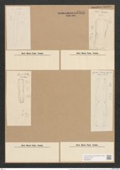 Amphiprora lepidoptera var. quarnerensis Grun. (de-Toni-Nr.: Genus 29, Species 1307) Zeichnungen Sammlung Grunow Nr. 2509 (NHMW-BOT-W0369676)
